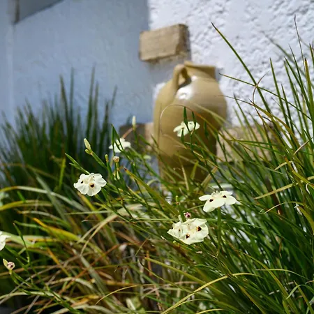 Kerkyra Island Mesongí